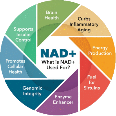 1764955660_NADinfo 1764955660 NADinfo 1